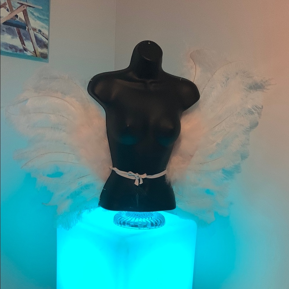 White Feather Angel Wings
